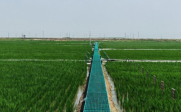 文件柜選購注意事項?